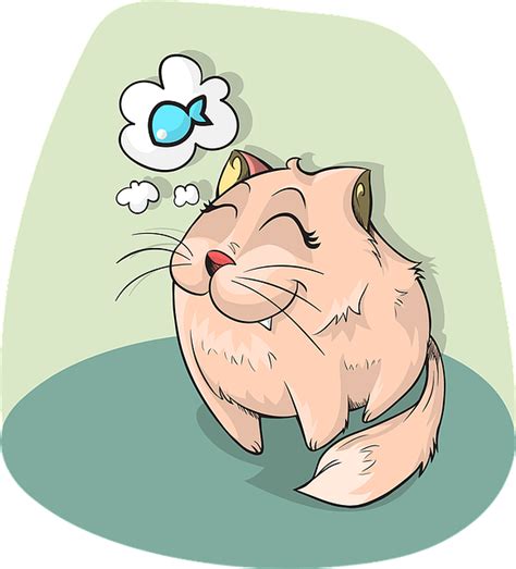 Felibite dibuat dengan nutrisi yang seimbang cara menghitung kebutuhan kalori kucing. Cara Membuat Makanan Kucing Sendiri