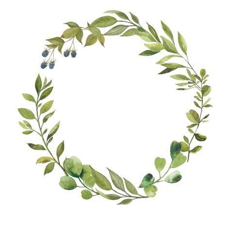 Leaf Circle Border Svg Meetmeamikes