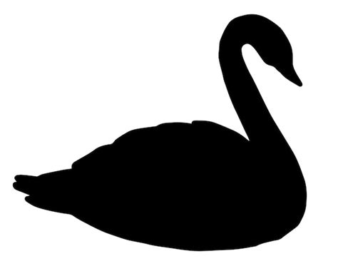 Premium Vector Vector Swan Silhouette Isolated On White Background