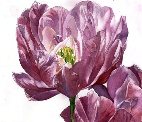 Spring Ranunculus Painting By Alfred Ng Fine Art America