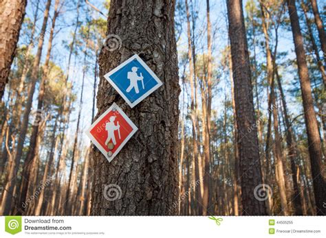 Hiking Trail Markers In Forest Stock Image Image Of