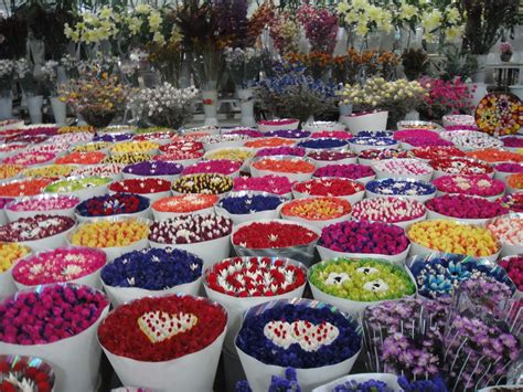 Check spelling or type a new query. pakdoktergolfblog: Day 11: The Kunming Flower Market and ...