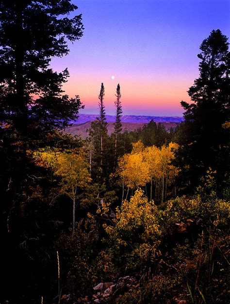Autumn Evening Photograph By Grant Sorenson Fine Art America