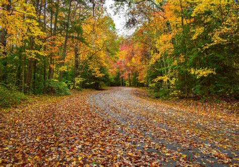 Fall Foliage Road Trip Chattanoogas Most Picturesque Drives
