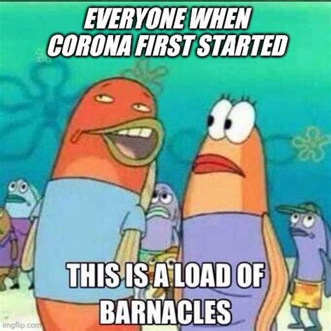 This Is A Load Of Barnacles Imgflip