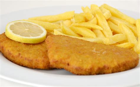 Schnitzel mit Pommes die Zweite und Falafel Putzlowitscher Zeitung