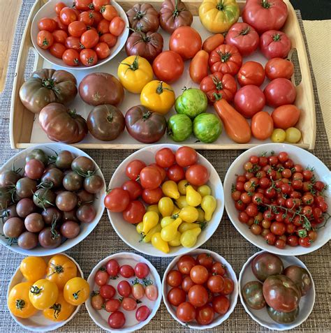 All The Colors Of Tomatoes Rgardening