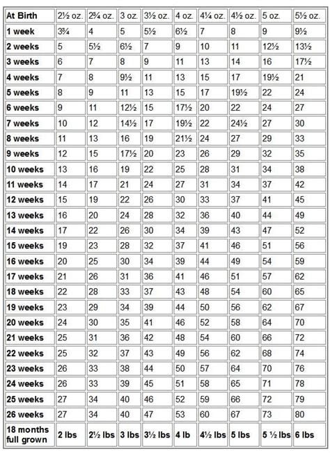 Chihuahua Growth Chart Pounds