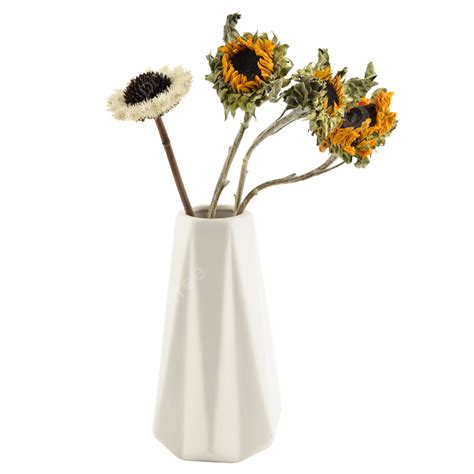 Gambar Foto Buket Bunga Kering Dengan Hiasan Vas Putih Terang Floral