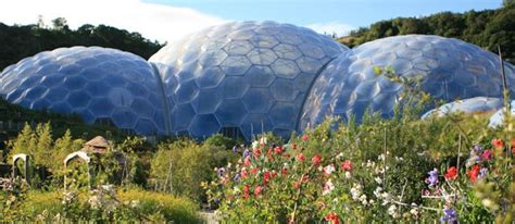 The Eden Project Eden Project Camping Cornwall Beautiful Places To