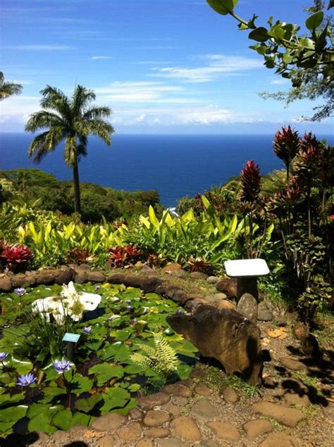 Pin On Best Of Maui Activities
