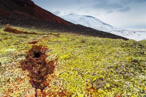 Green Moss On Black Volcanic Rock Kamchatka Russia Stock Photo
