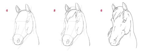 We did not find results for: How to draw a horse's head | Drawing horses & ponies ...