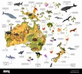 Australia y Oceanía Mapa de flora y fauna, elementos planos. Animales ...