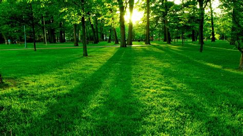 Lawn Wallpapers Top Free Lawn Backgrounds Wallpaperaccess