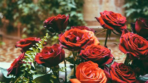 1 h 24 min overall bit rate : Download wallpaper 1920x1080 roses, hydrangeas, flower bed ...