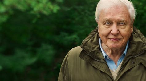 Netflix Estrena El Documental David Attenborough Una Vida En Nuestro