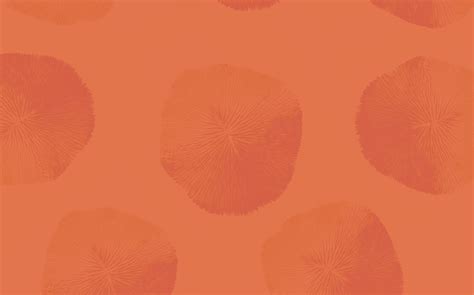 Hey Low, we are a digital studio driven by beauty and sustainability.