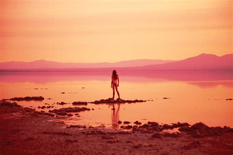 behind the artwork un approfondimento su ryan mcginley collater al