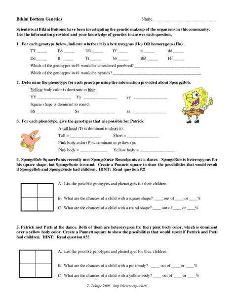 Use the information provided and your knowledge of genetics to answer each question. Sponge bob genetics