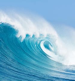 Sea Water - Vancouver Island Homeopathy