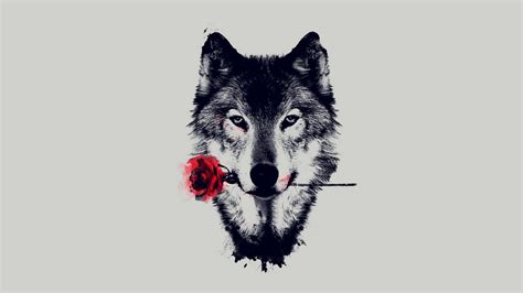 Hipster Wolf Wallpaper 77 Images