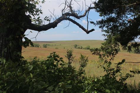 Approaching 20 Years Tallgrass Prairie National Preserve Looks Forward