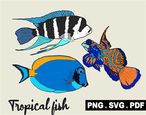 Tropical Fish Designs Svg Png Pdf Clipart Personal And Etsy