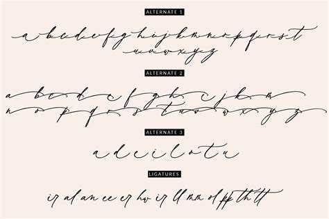 Wild Magnolia Signature Script Font 138437 Script Font Bundles