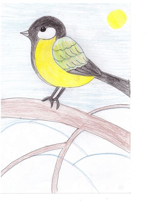Рисунки птиц карандашом детские рисунки