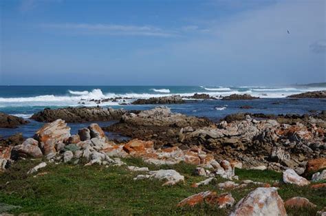 Cape Recife Nature Reserve Port Elizabeth South Africa Top Tips