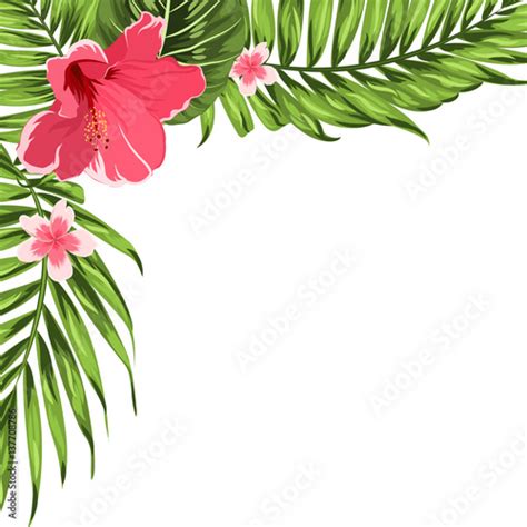 Exotic Tropical Border Frame Template For Corner Decoration Bright