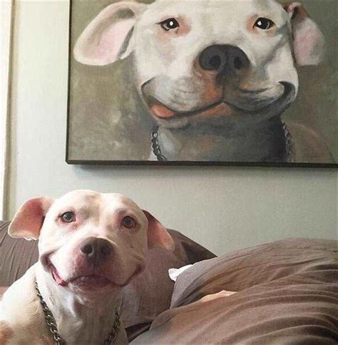 33 Random Funny Pictures of Inspirational Weirdness | Team ...