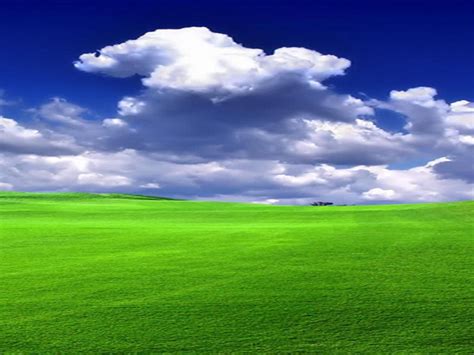 Free Download Beautiful Green Landscape Wallpaper Desktop 1920x1080