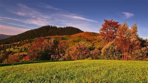 Autumn Fall Trees Green Grass Field Slope Mountains Under White Clouds