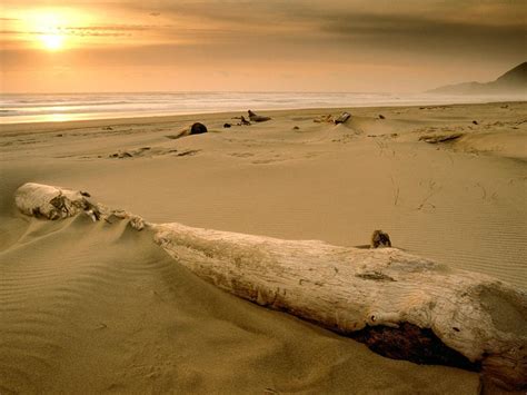 Por qué algunas playas son de arena y otras de piedras Quo