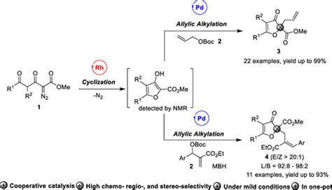 Cooperative Rh Ii Pd Dual Catalysis Synthesis Of Highly