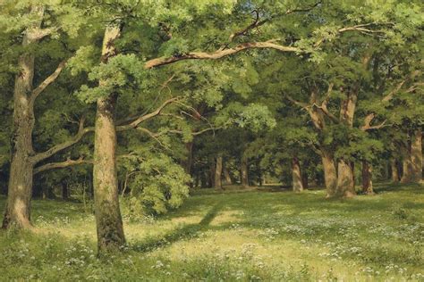 Nemophilists means one who is fond of forest or forest scenery. Nemophilist Adalah : Nemophilist Adalah - Definisi ...