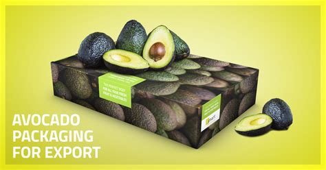 Efficient Avocado Packaging For Export Smart Packaging Solutions