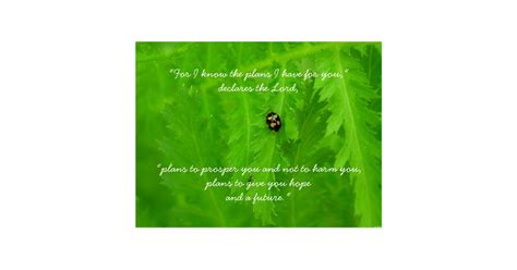 Ladybug Encouragement Postcard