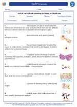 Includes lesson plans & study material resources. Cell processes. High School Biology Worksheets, Vocabulary ...