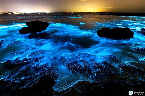 Bioluminescence Lights Up Jervis Bay On Anzac Day