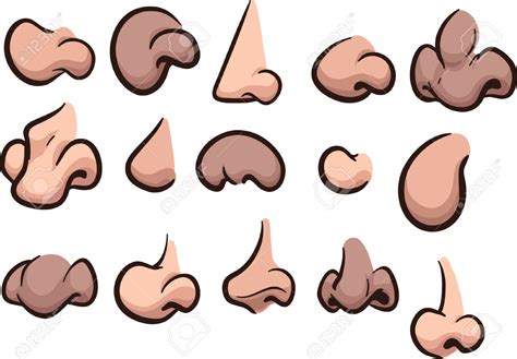 Noses Clipart Clipground