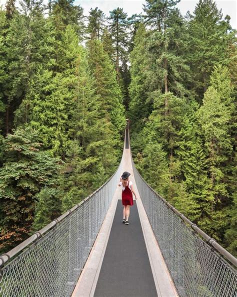 A Complete Guide To Capilano Suspension Bridge Park In Vancouver