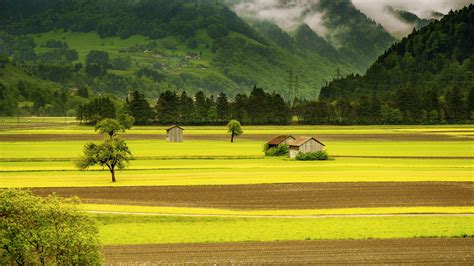 Grassland Hd Wallpapers Backgrounds