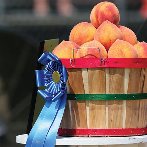 Located in clanton key west inn is a perfect starting point from which to explore clanton (al). Clanton, Alabama Travel Guide - Places To Go, Restaurants ...