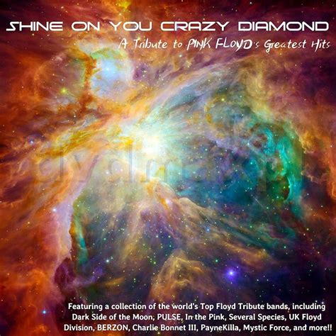 P Yta Kompaktowa Shine On You Crazy Diamond A Tribute To Pink Floyds