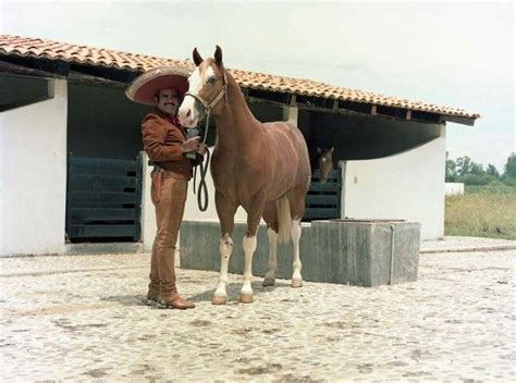 Pin De Estefania En Vicente Fernandez Caballos Cowgirls Arte