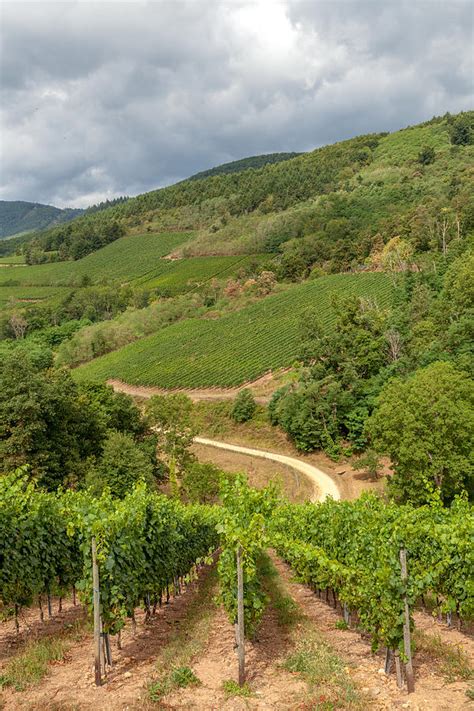 Alsatian Hills Photograph By W Chris Fooshee Fine Art America