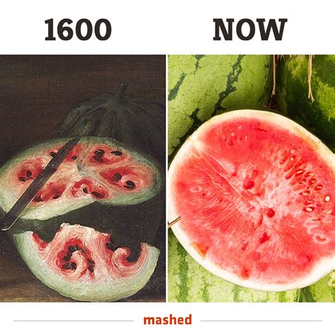 Watermelons Have Changed A Lot Over The Years Food Lover Food Facts